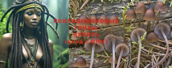 круглые Алексеевка