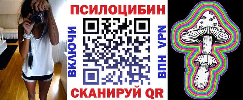OMG онион  Порхов  Галлюциногенные грибы мицелий  где купить наркоту 